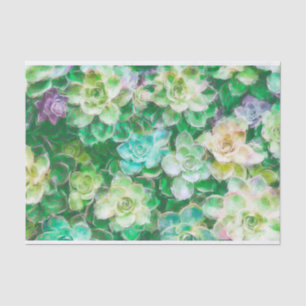 Succulents Painting by Cindy Bendel Tissue Paper