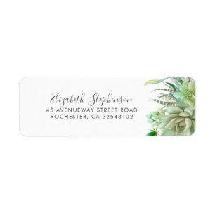 Succulents Verdure Moderne