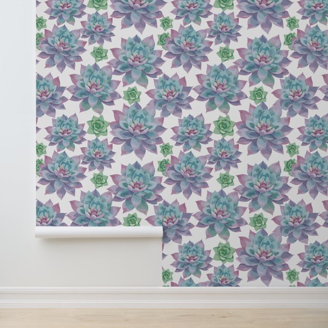 Succulents Wallpaper (Application)