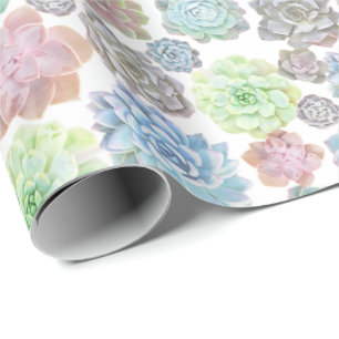 Succulents wrapping paper