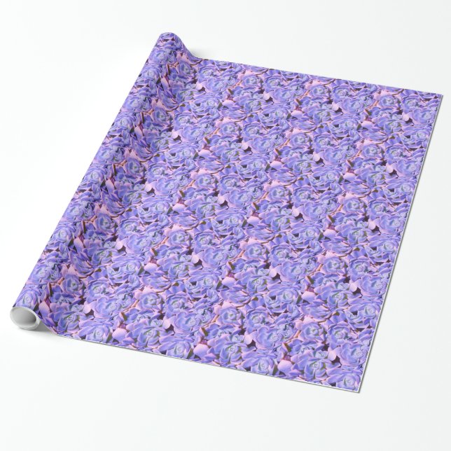 Succulents Wrapping Paper (Unrolled)