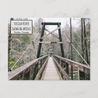 Suches, Georgia Weirdly Wonderful GA Toccoa Postcard