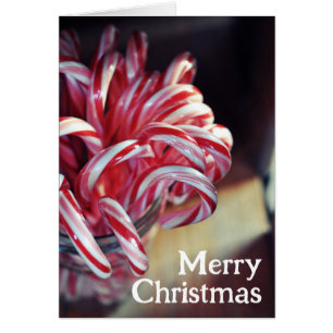 Sucre de canne, Cloches Jingle, Noël