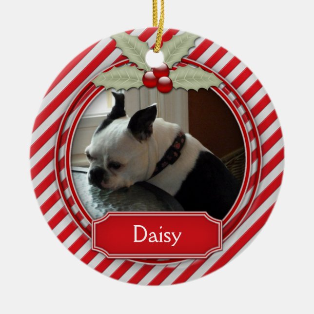 Sucre de canne Ornement Stripe Holly Pour Animaux (Devant)