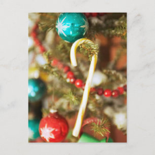 Sucre de canne sur les Cartes d'Arbre et Stickers