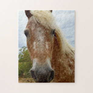 Sucre Le Cheval Appaloosa, Puzzle