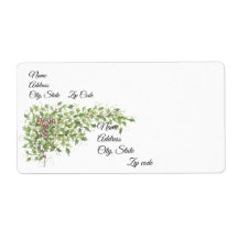 Sucres de canne et Holly