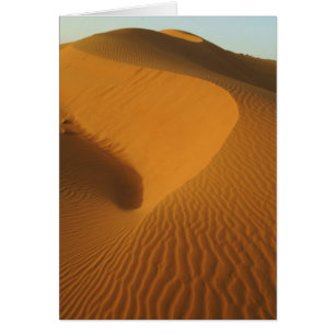 Sudan, North (Nubia), dunes in the desert