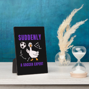 Suddenly a soccer expert plaque