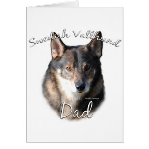 Suède Vallhund Dad 2