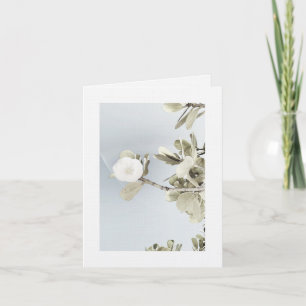 Sueños de Puerto Rico Thank You Card