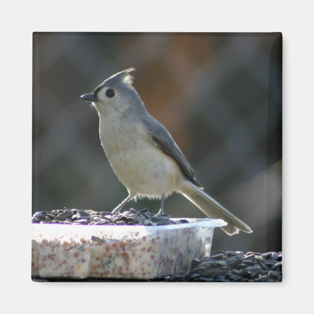 Suet Supper Magnet (Front)