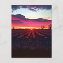 Suffolk Sunset Before Dusk