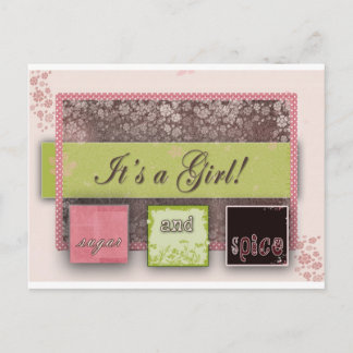 Sugar and spice announcement postcard
