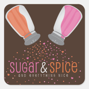 Sugar and Spice Shakers Baby Shower Square Sticker