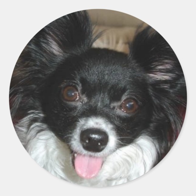 Sugar Baby Classic Round Sticker (Front)