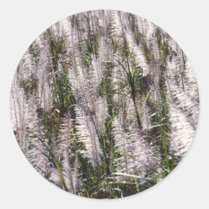 Sugar cane classic round sticker