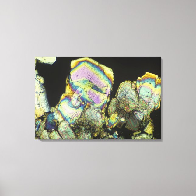 Sugar Crystals Viewed in Polarized Light 2 Canvas Print (Front)