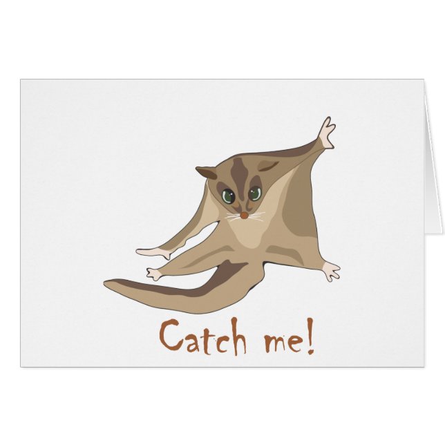 sugar glider (Front Horizontal)