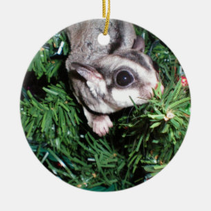 sugar glider Christmas Ceramic Ornament