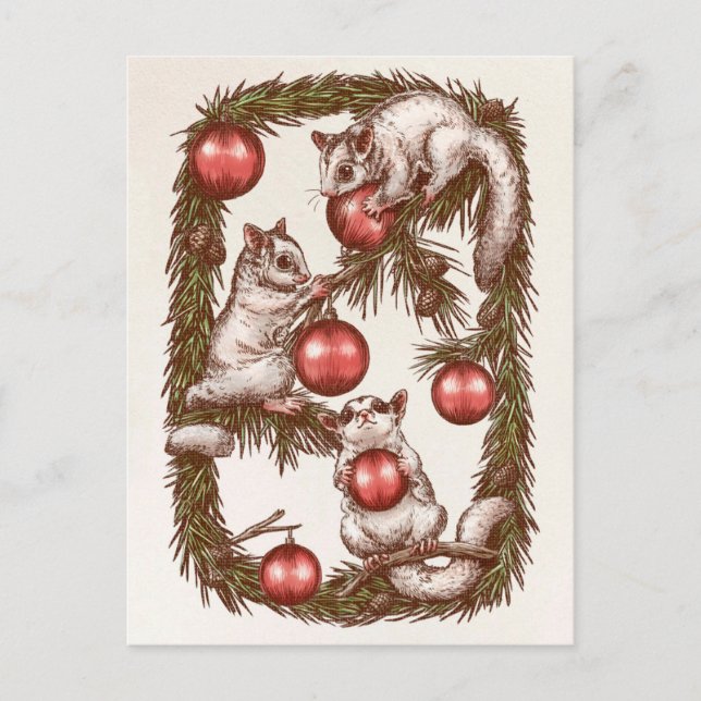 Sugar Glider Christmas Postcard (Front)