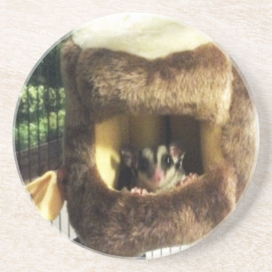 Sugar Glider in Furry Tree Truck Hanging Bed Coaster