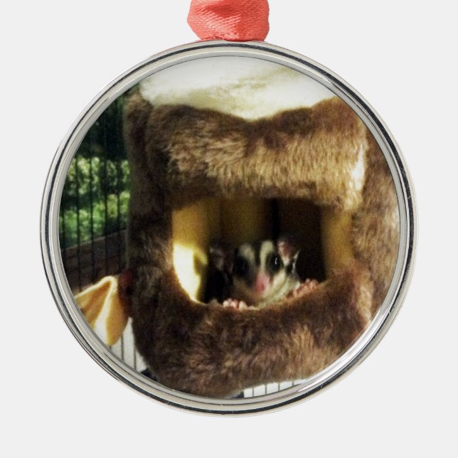 Sugar Glider in Furry Tree Truck Hanging Bed Metal Ornament (Front)
