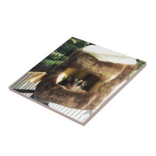 Sugar Glider in Furry Tree Truck Hanging Bed Tile