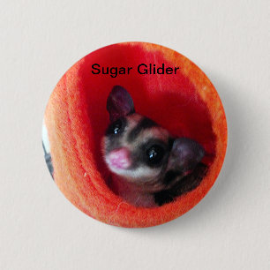Sugar Glider in Orange Hanging Bed 2 Inch Round Button