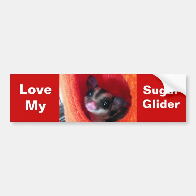 Sugar Glider in Orange Hanging Bed Bumper Sticker (Front)