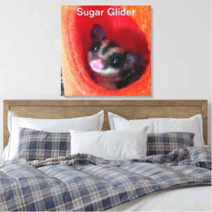 Sugar Glider in Orange Hanging Bed Canvas Print
