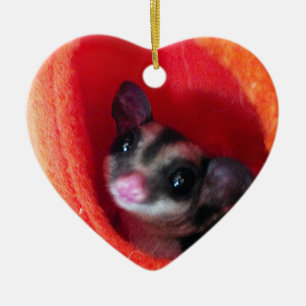 Sugar Glider in Orange Hanging Bed Ceramic Ornament