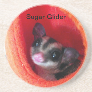 Sugar Glider in Orange Hanging Bed Coaster