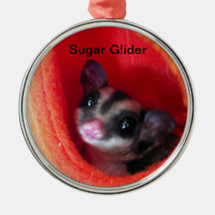 Sugar Glider in Orange Hanging Bed Metal Ornament