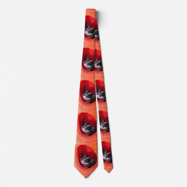 Sugar Glider in Orange Hanging Bed Tie (Front)