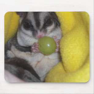 sugar glider mouse pad