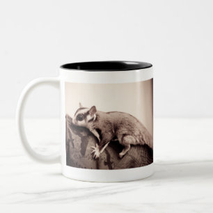 Sugar Glider mug