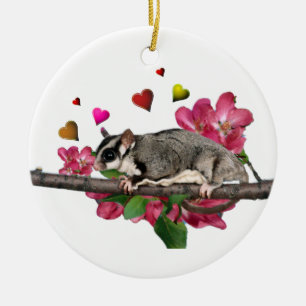 Sugar Glider Ornaments