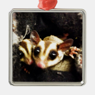 sugar glider photo design metal ornament