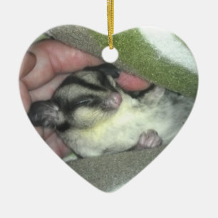 Sugar Glider Sleeping in Blanket Ceramic Ornament