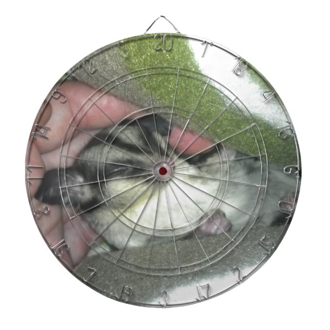 Sugar Glider Sleeping in Blanket Dartboard (Front)