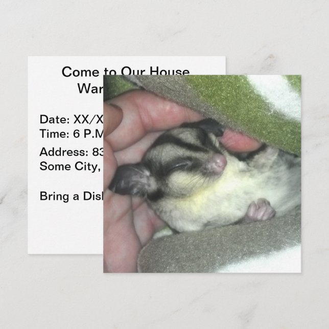 Sugar Glider Sleeping in Blanket Invitation (Front/Back)