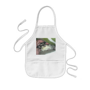 Sugar Glider Sleeping in Blanket Kids Apron