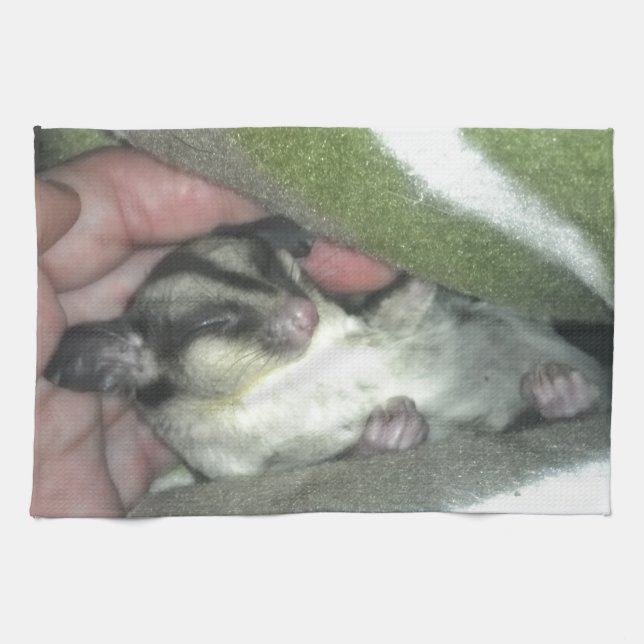 Sugar Glider Sleeping in Blanket Kitchen Towel (Horizontal)