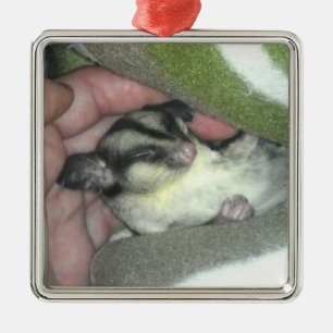 Sugar Glider Sleeping in Blanket Metal Ornament