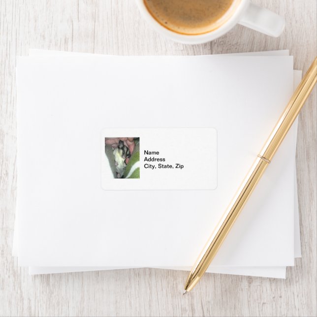 Sugar Glider Sleeping in Blanket Return Address Label (Insitu)