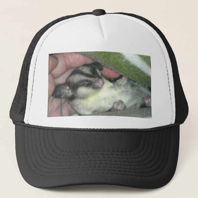 Sugar Glider Sleeping in Blanket Trucker Hat (Front)