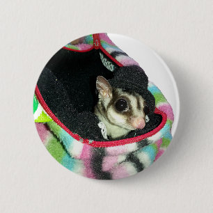 Sugar Glider Wearing a Hat 2 Inch Round Button