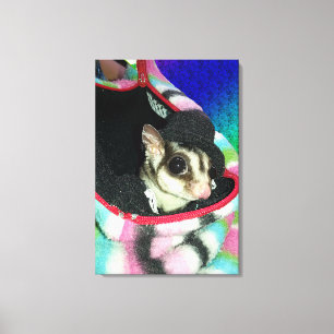 Sugar Glider Wearing a Hat Canvas Print