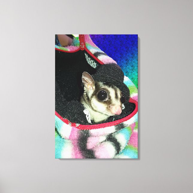Sugar Glider Wearing a Hat Canvas Print (Front)